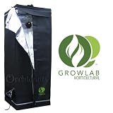 indoor aquaponics indoor aquaponics