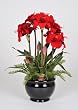 Artificial Amaryllis in Fishbowl