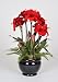 Artificial Amaryllis in Fishbowl