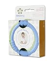 Lifefactory 2 Pack Multi Sensory Silicone Teether, Sky/Spring Green