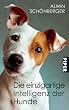 Die einzigartige Intelligenz der Hunde