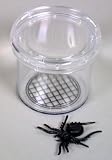 Coghlans Bug Jar With Magnifier For Kids
