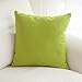 TangDepot Cotton Solid Throw Pillow Cover, 12 INCH x 12 INCH, Apple Green
