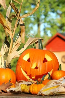 Jack-O-Lantern Cake Pillars