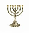 The Light of the Shabbat Menorah #504