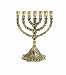 The Light of the Shabbat Menorah #504