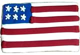 Beautiful Cookies Organic Party Favors-Flag Organic Cookies Cookies, 10 Cookies