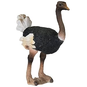 Amazon.com - Ostrich Figurine