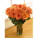 One Dozen Orange Bliss Roses