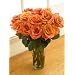 One Dozen Orange Bliss Roses