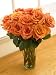One Dozen Orange Bliss Roses