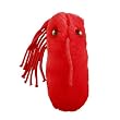 GIANT Microbes - Typhoid Fever (Salmonella typhi) Plush Toy