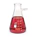 WPI CG-0082 Glass Filter Flask with 8mm Tubulation, 115mm Height, 125mL Capacity, 25mL to 125mL Graduation (Pack of 6)