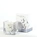 Infusion Organique - Sands of Morocco Scent Candle