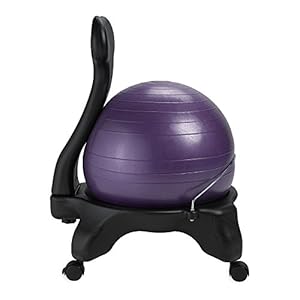 Gaiam Balance Ball Chair, Purple