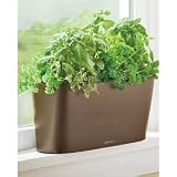 Windowsill Self Watering Planter - Espresso