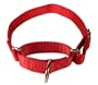 Red Large Martingale Heavyduty Nylon Dog Collar