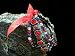 Jewelry : Patriotic Sparkler Stretch Bracelet Set