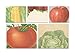 Cavallini Sticky Notes, Garden, 5 to 8 Pads