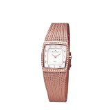 Skagen Denmark Womens Watch Rose Gold Glitz & Striped Mesh #384XSRR1S