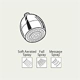 Delta RP40594 Michael Graves 3-Function Showerhead, Chrome