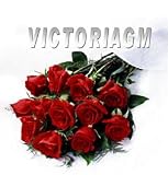 16 Dozens Fresh Cut Red Roses in Bulk or Wholesale Price