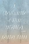 A Constellation of Vital Phenomena