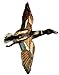 Jackite Mallard Duck Drake Kite, 32