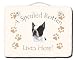 boston_terrier17boston terrier - Boston Terrier Spoiled Rotten Slate