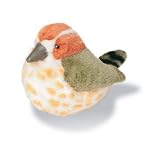 bird-Cactus Wren - Audubon Plush Bird (Authentic Bird Sound) On Sale