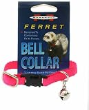 Marshall Ferret Bell Collar, Hot Pink