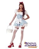 Womens Miss Dorothy Costume (small or large)