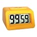 Flashing Alarm Timer - Sper Scientific (Model 810014)
