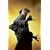 Stephen King's Dark Tower: The Gunslinger Born #4 (Stephen King's Dark Tower: The Gunslinger Born)