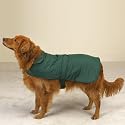 Casual Canine Reversible Barn Coat for Dogs - Green - Large (L)
