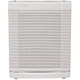 19' x 21' Room Air Purifier