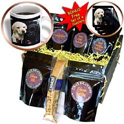Dogs Labrador Retriever - Black and Yellow Lab Puppies - Coffee Gift Baskets - Coffee Gift... by Decaf Espresso Roast