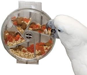 Creative Foraging Systems Foraging Wheel, 6-Inch Diameter