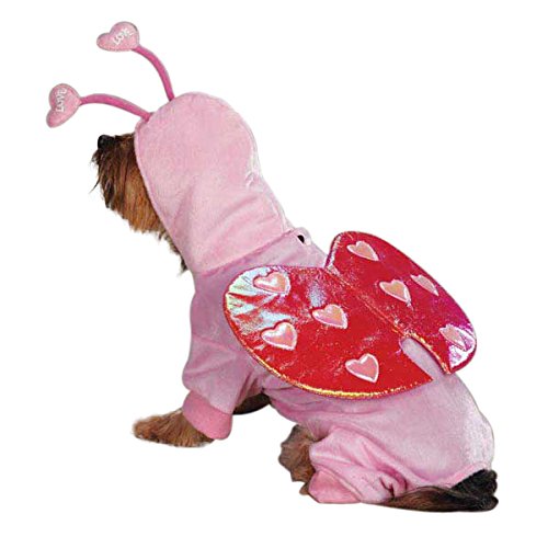 Cutest Valentine Gifts for Dogs