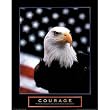 (22x28) Courage (Eagle & Flag) Motivational Poster Print