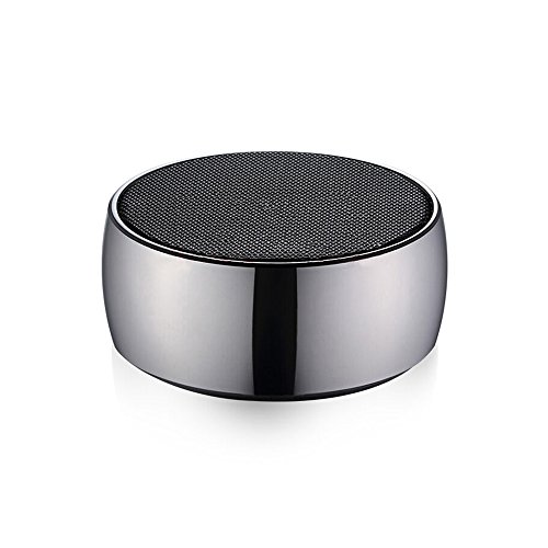 Raisetech Portable Bluetooth Speaker with Microphone for Phone, PC and Tablet (Black)