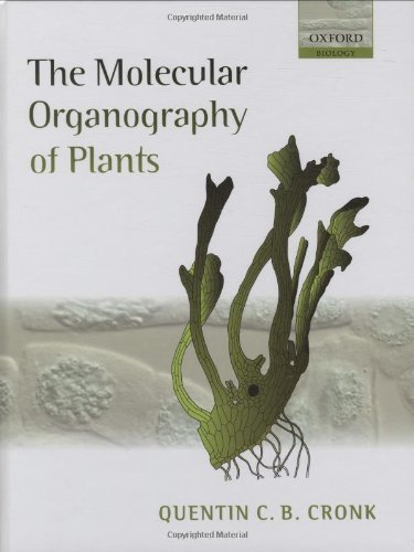 The Molecular Organography of Plants