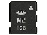 1GB Memory Stick Micro (M2)