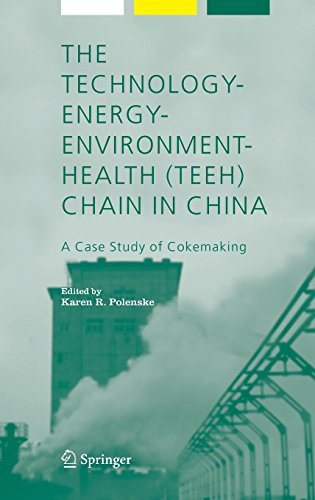 The Technology-Energy-Environment-Health (TEEH) Chain In China: 8 (Alliance for Global Sustainability Bookseries)
