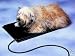 Allied Precision Medium Plastic Heated Pet Mat