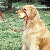 Pet Supplies : Gentle Leader Large Black