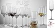 Schott Zwiesel Pure Champagne Flute (Set of 6)