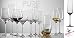 Schott Zwiesel Pure Champagne Flute (Set of 6)