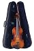 Palatino Antonius Violin Outfit 3/4 Size, with featherweight case and bow