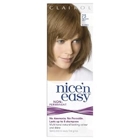 Clairol Nice'n'Easy Hair Colourant by Loving Care 73 Ash Blonde